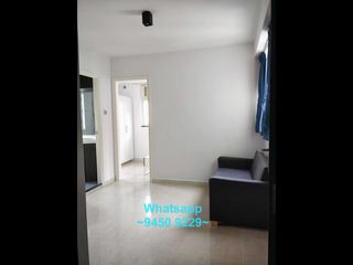 Poho - Universal Building 02