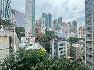 Poho - Rich View Terrace 09