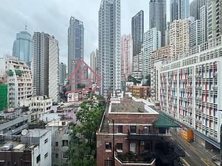 Poho - Rich View Terrace 03