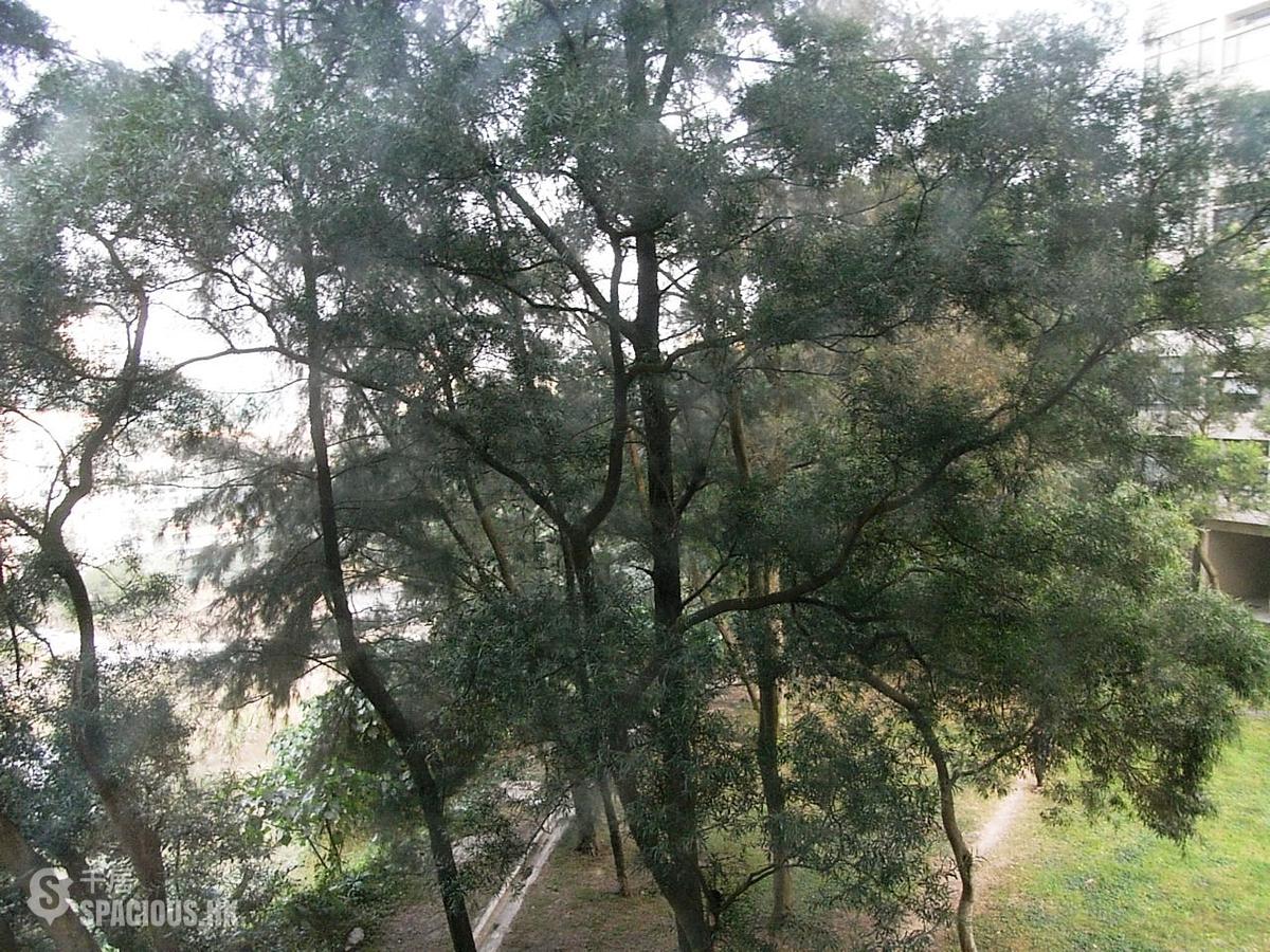 愉景湾 - 愉景湾1期 明翠台 01