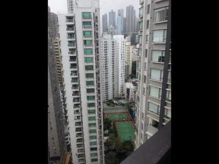 Sheung Wan - AVA128 05