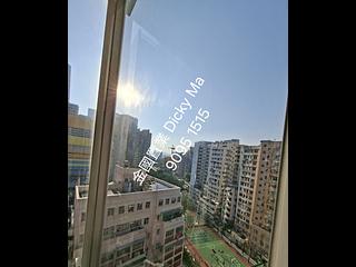 佐敦 - AVA 62 06