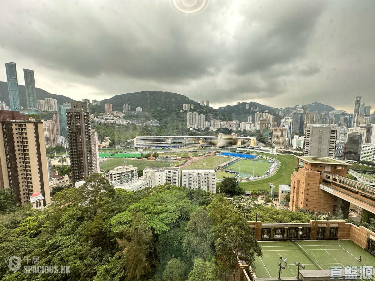禮頓山 - 禮頓山 01