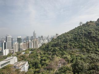 東半山 - Bowen's Lookout 12