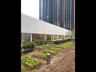 Tai Wai - The Pavilia Farm 05
