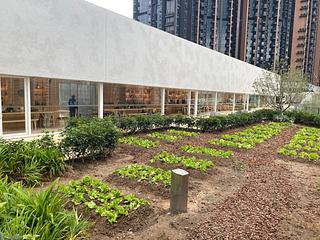 Tai Wai - The Pavilia Farm 06
