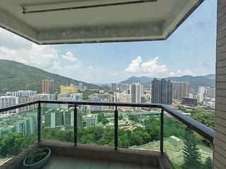 火炭 - 碧霞花園 03