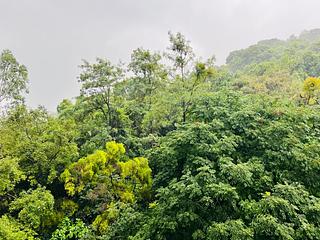 大圍 - 壹號雲頂 08