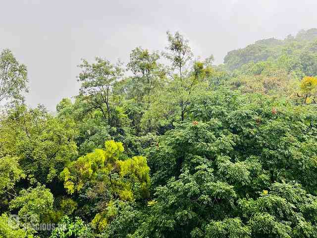 Tai Wai - Peak One 08