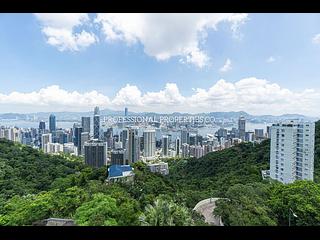 The Peak - Peak Road 05