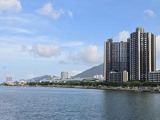 Kai Tak - The Pavilia Forest 07