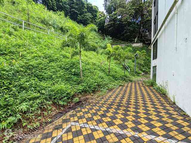 Tai Po - Pun Shan Chau 03