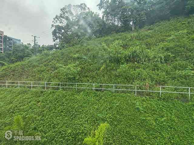 Tai Po - Pun Shan Chau 06