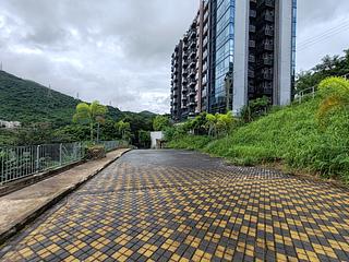大埔 - 半山洲 09