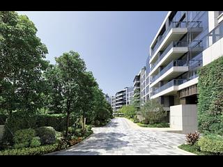 Beacon Hill - Mont Verra 07