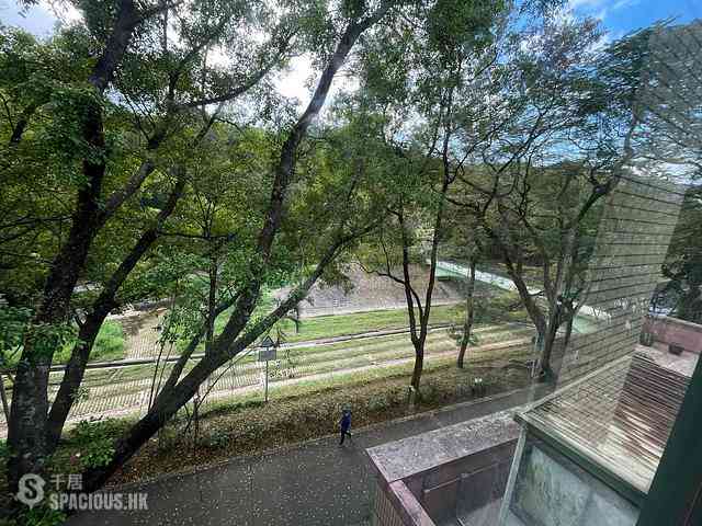 Tai Po - Parc Versailles 05