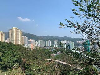 Tai Wai - Godi XI 18