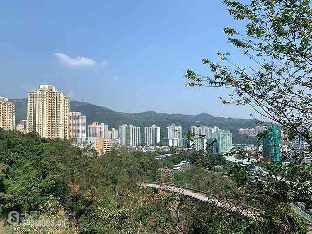 Tai Wai - Godi XI 18