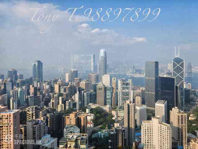 中半山 - The Mayfair 01