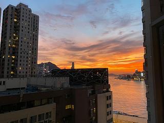 炮台山 - 海峯园 19