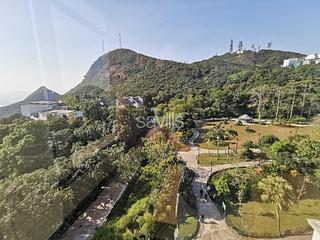 山顶 - The Mount Austin 10