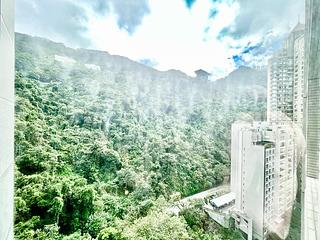 中半山 - 地利根德阁 11