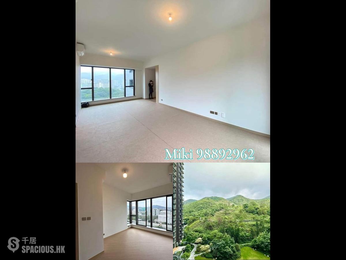 Sha Tin - St Michel 01