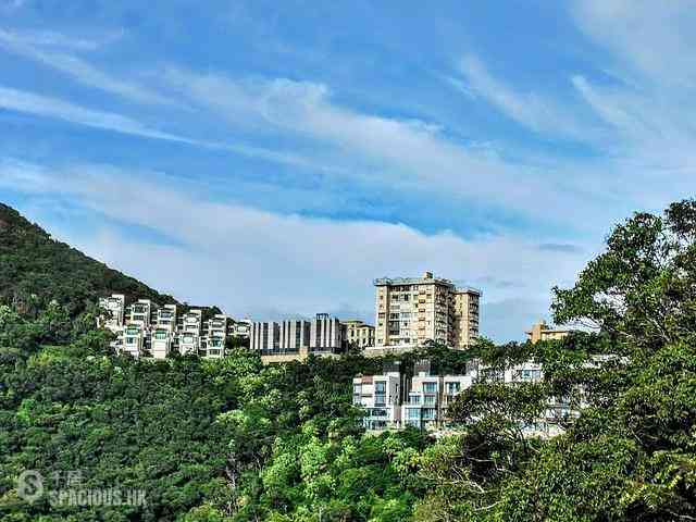 山顶 - 瑞燕大厦 01