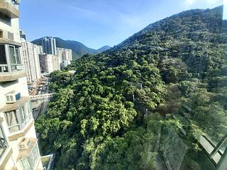 鲗鱼涌 - 华信花园 04