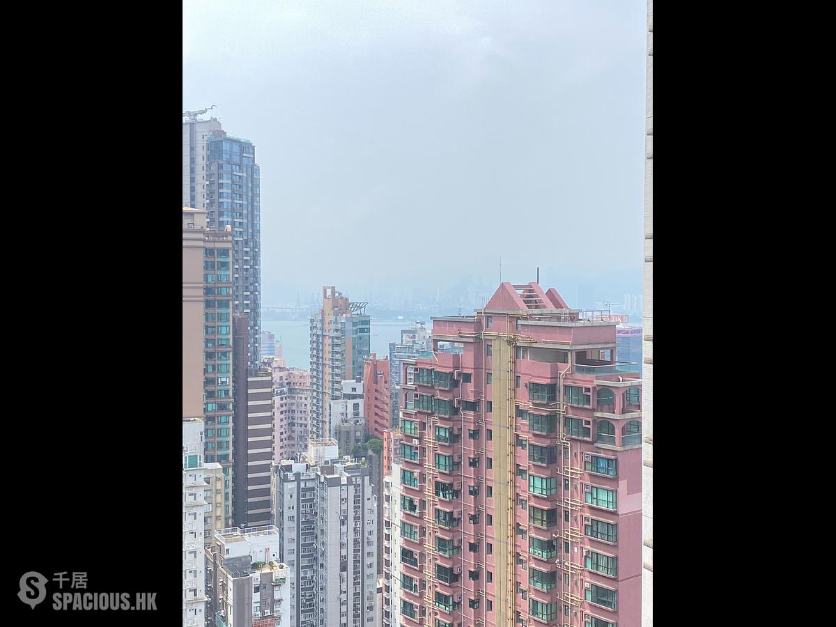 中半山 - 半山捌号 01