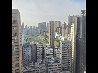 Happy Valley - Horace Court 04