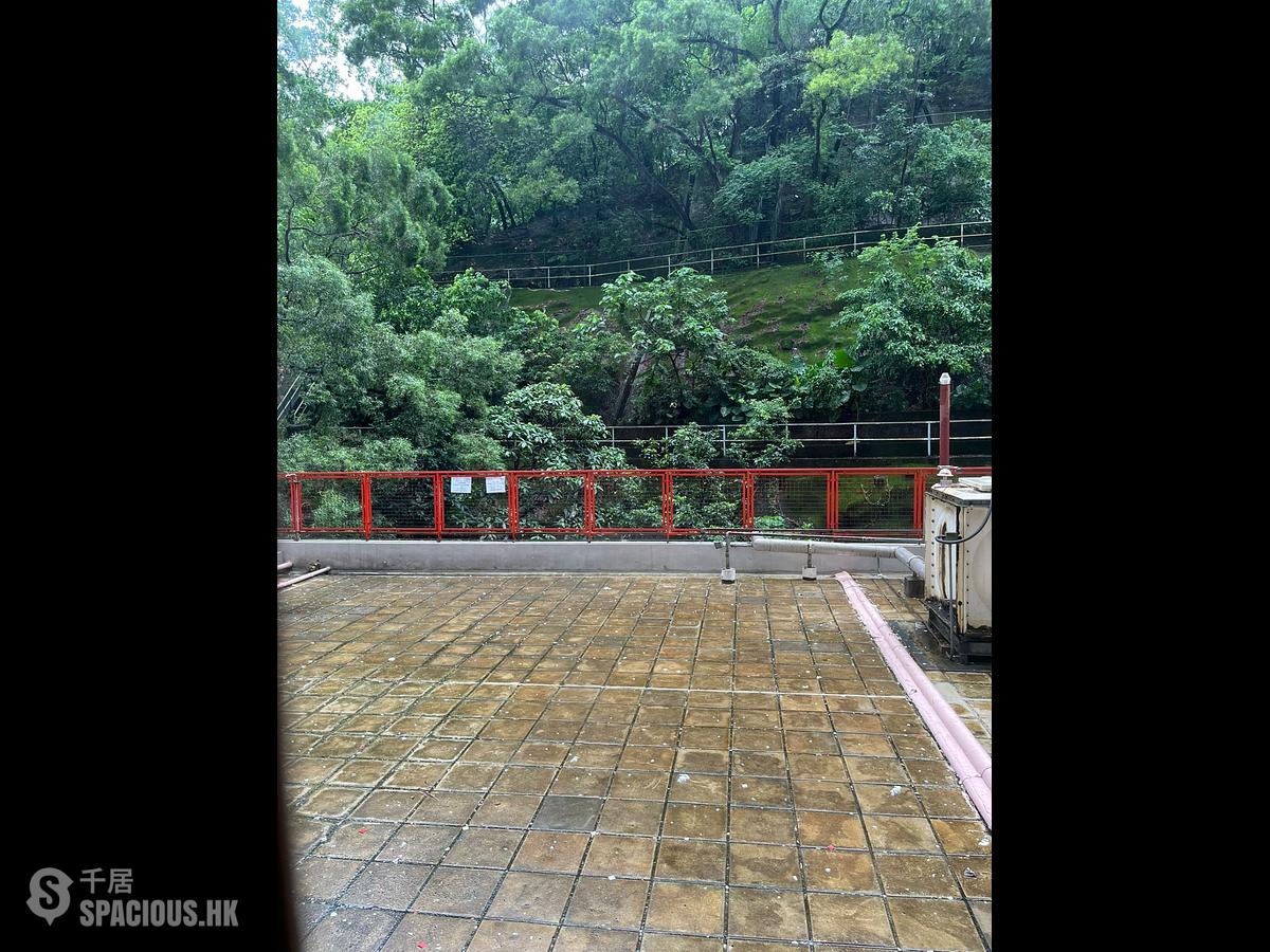 大坑 - 龍濤苑 01