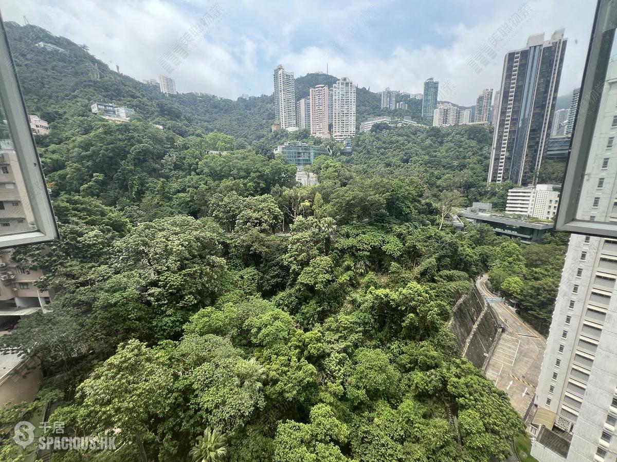 Wan Chai - Star Crest 01