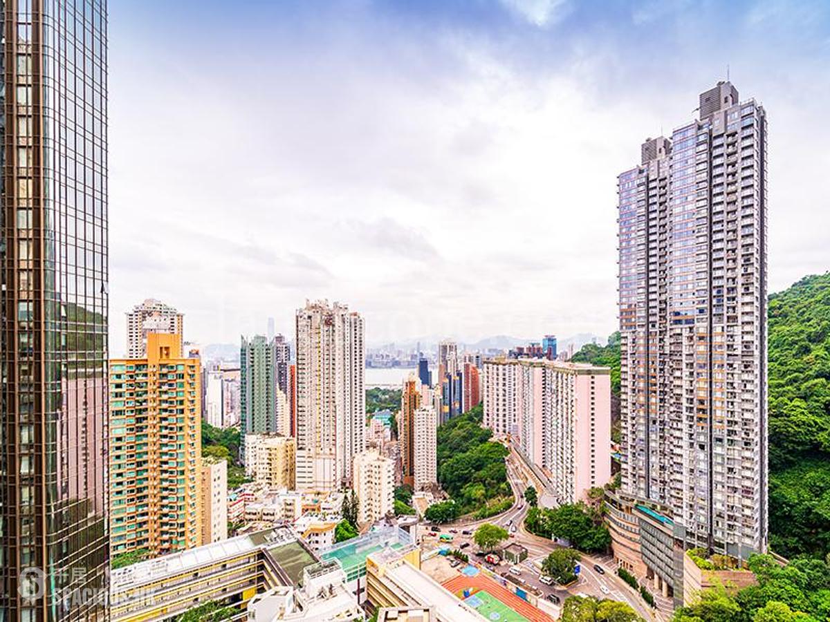 Tai Hang - The Legend 01