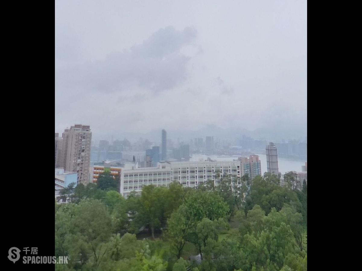 宝马山 - 赛西湖大厦 01