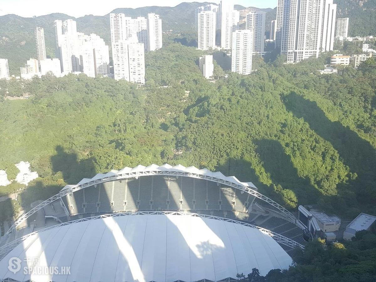 跑马地 - 乐翠台B座 01