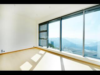 山頂 - 種植道42號 02