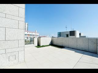 山頂 - 種植道42號 05