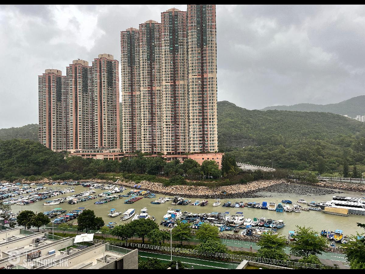 Tseung Kwan O - Savannah 01