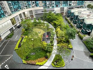 Tseung Kwan O - Savannah 03