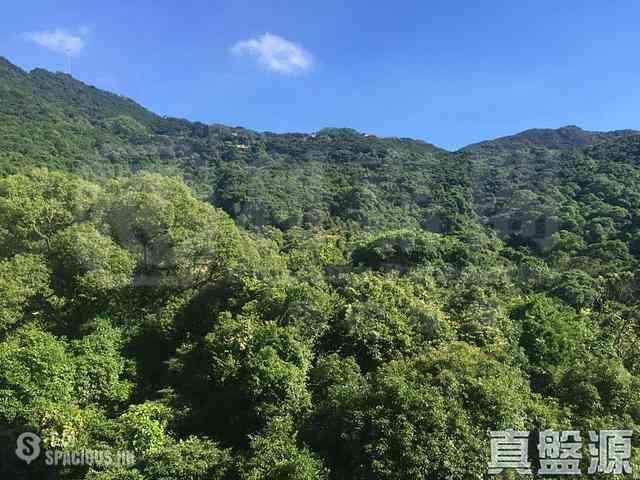 西半山 - 杏彤苑 01