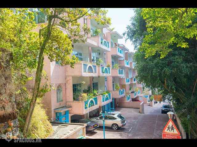 The Peak - Stewart Terrace 01