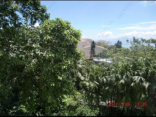 The Peak - Strawberry Hill 06