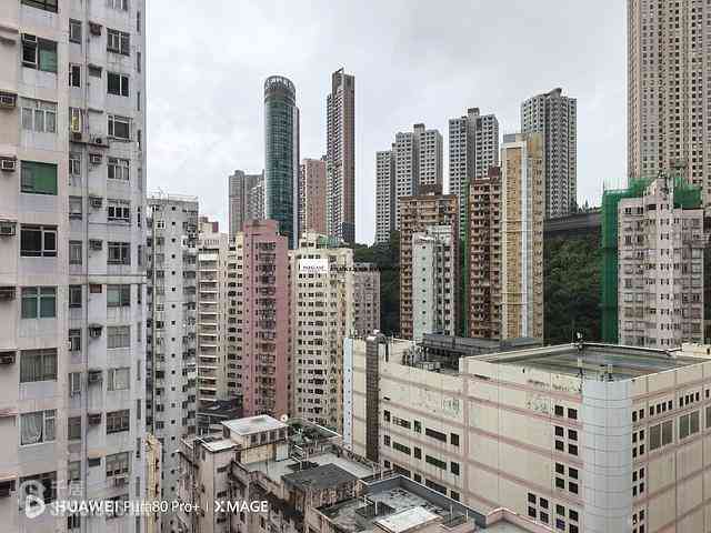 Tai Po - Mountain View Court 03