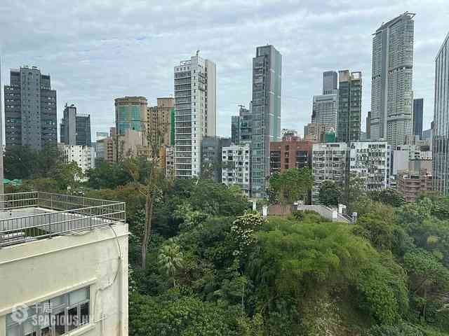 尖沙咀 - 山林閣 13