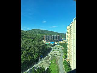 Discovery Bay - Discovery Bay Phase 10 Neo Horizon 16