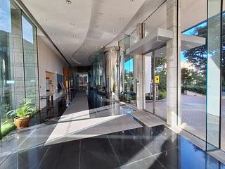 Discovery Bay - Discovery Bay Phase 10 Neo Horizon 24