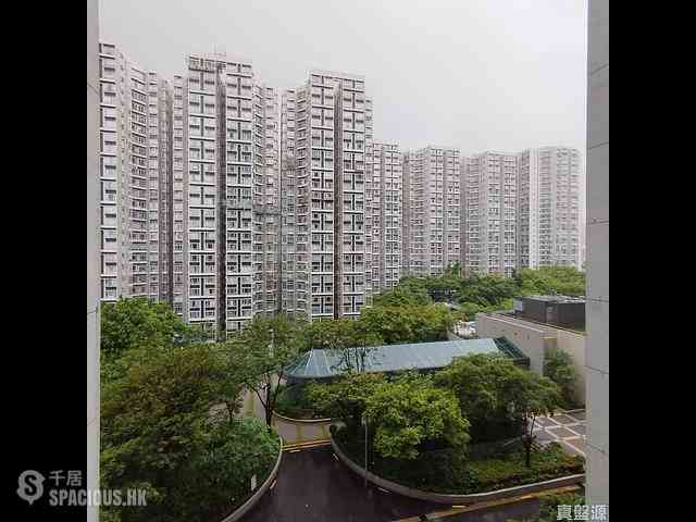 茶果岭 - 丽港城 01