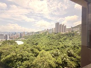 Happy Valley - Broadwood Park 03