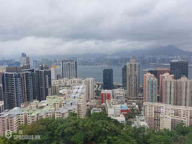 寶馬山 - 瓊峰園A座 01